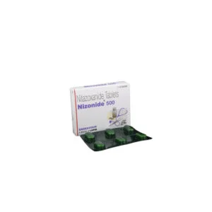 니타조사나이드 니조나이드 - 500mg, 240정