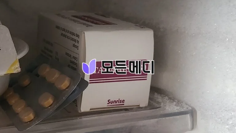 타다라이즈 직구, 구매, 후기