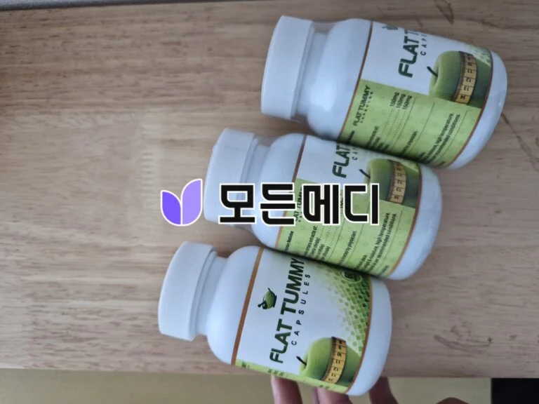 플랫터미(신진대사 증가) 직구, 구매, 후기