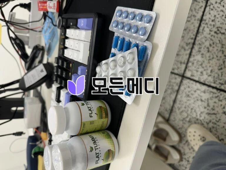 플렛터미 직구, 구매, 후기
